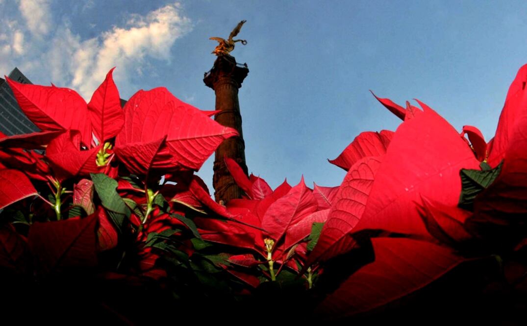 Foto: Archivo/EL UNIVERSAL