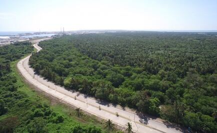 Sener y Semarnat afinan estudio de impacto ambiental para refinería de Dos Bocas