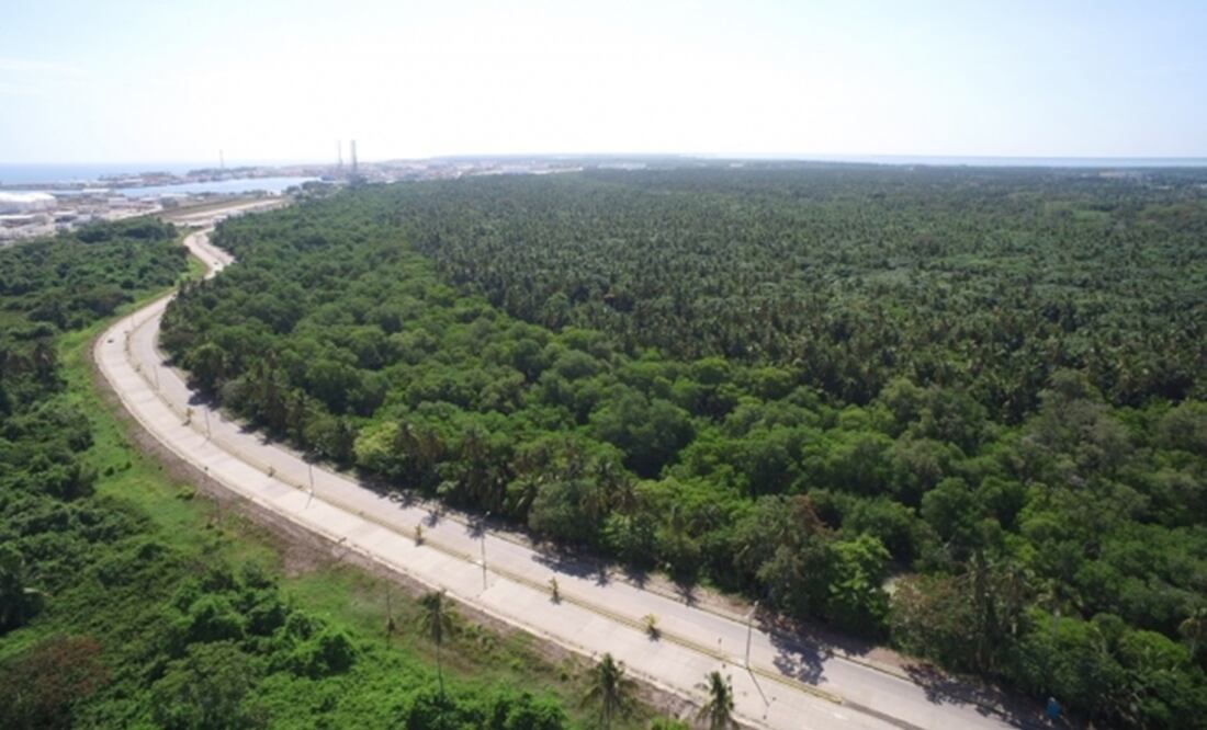 Foto: Archivo/EL UNIVERSAL