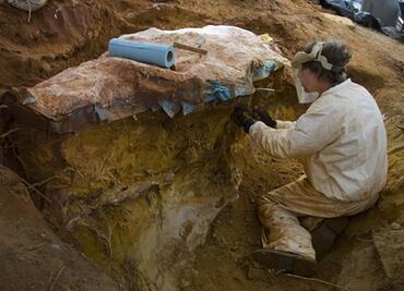 Hallan 70 huellas de dinosaurios y mamíferos en centro espacial de la NASA