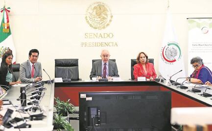 Avanza aval de Aysa González como embajador