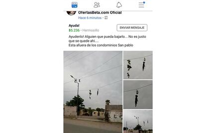 Cuelgan a perrita de cables eléctricos en Hermosillo