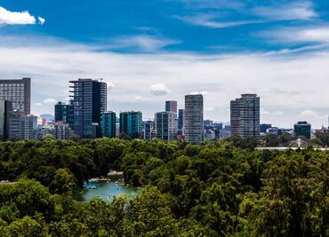 7 datos sobre el Festival del Bosque que tienes que saber