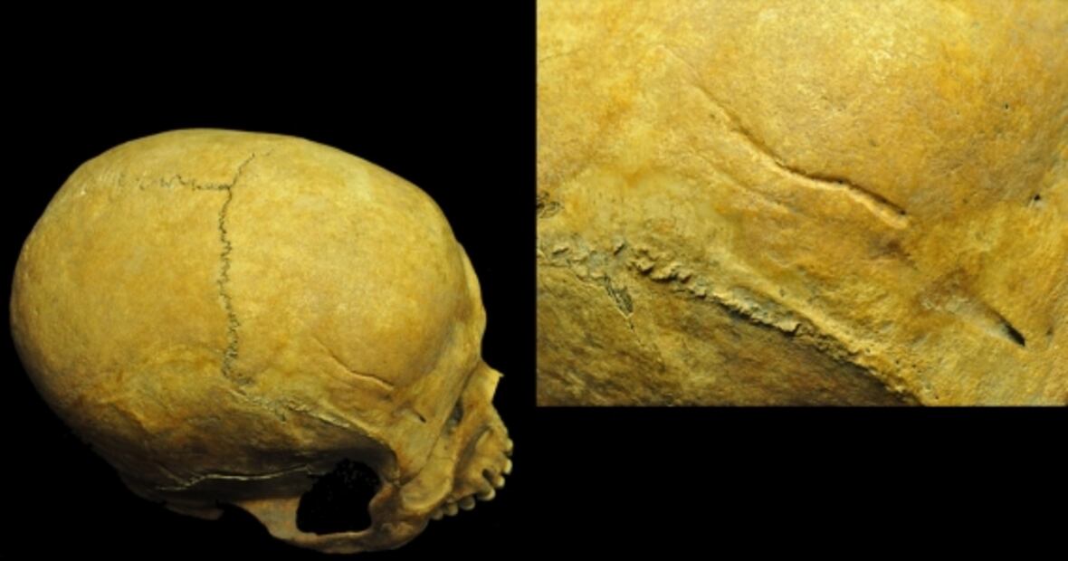 Investigadores identifican a la primera generación de africanos que llegó a América