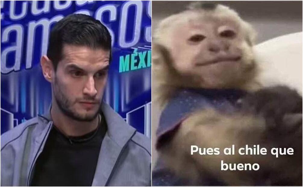 Algunos aseguraron que nadie extrañará al youtuber. Foto: X