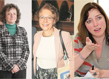 Especialistas piden robustecer iniciativa 3 de 3