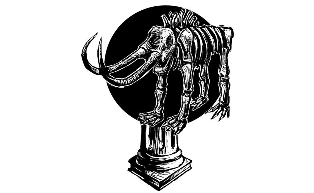 AMLO pone en riesgo el patrimonio