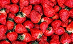 Cuánto cuesta la fresa en México en 2026, según Profeco