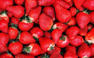 Cuánto cuesta la fresa en México en 2025, según Profeco