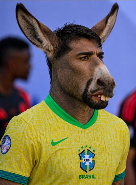 Brasil MEMES