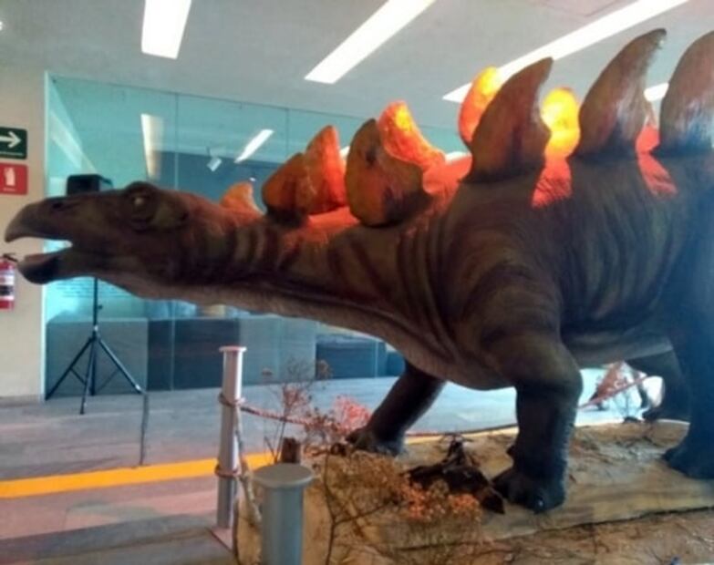 Lo que verás en Dinoexpertos en el Papalote Museo del Niño