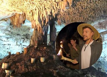 ¿Qué es la ceiba sagrada?; el árbol ancestral que sorprendió a MrBeast durante exploración en México