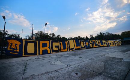 Barras de Pumas en franco choque con la directiva