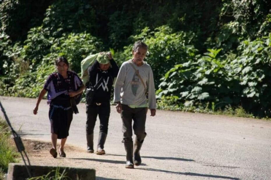 Tzotziles dejan municipios de Chiapas por temor a grupos armados