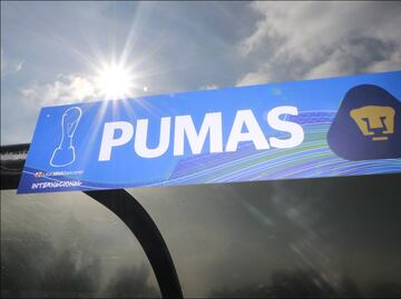 Los Pumas tendrían un refuerzo que llegaría de Cruz Azul