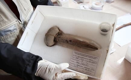 Encuentran cactus milenario en Perú