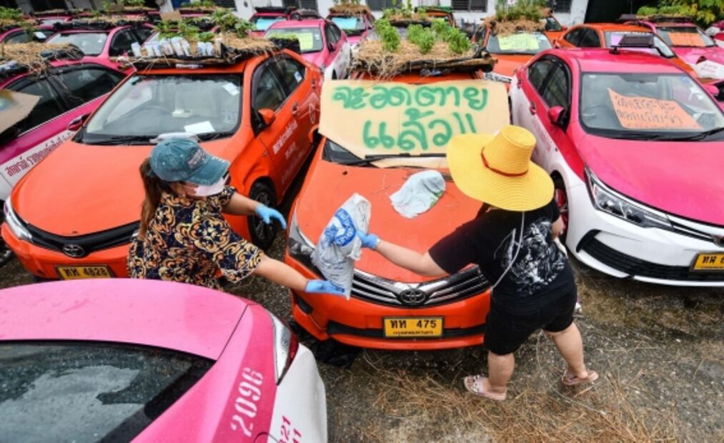 Cientos de autos abandonados se transforman en macetas de cultivo
