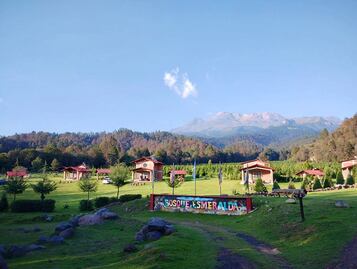 Qué hacer en el parque ecoturístico Bosque Esmeralda en Edomex