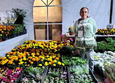 Llega flor de cempasúchil para la ofrenda del Día de Muertos al Paseo de la Reforma