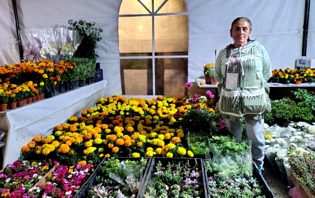 Productores del Suelo de Conservación ofertan flores de cempasúchil, plantas y artesanías típicas de la temporada en Reforma, Ciudad de México, el sábado 18 de octubre de 2025. Foto: Arantxa Meave / EL UNIVERSAL