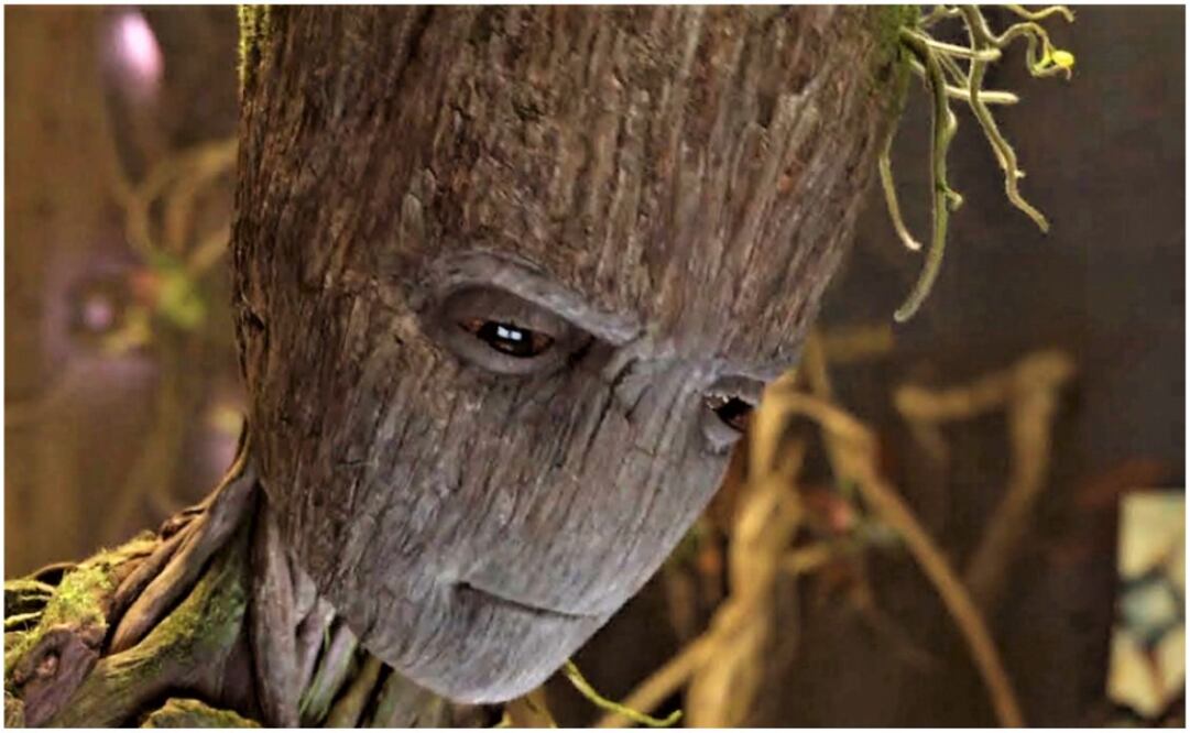 Cuando Thanos hizo que la mitad del Universo desaparezca, vemos a Groot decir su último “Yo soy Groot”, Pero… ¿Qué significa?