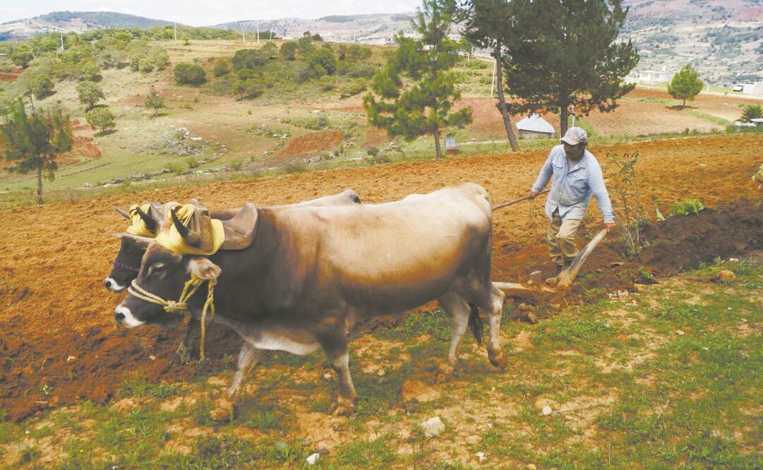 San Miguel Huautla vive en incertidumbre por tres habitantes que migraron. 