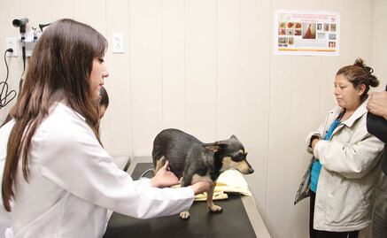 Convocan a marcha el 18 de febrero por asesinato de colega