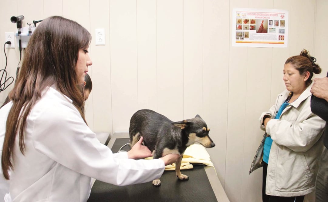 ARCHIVO EL UNIVERSAL