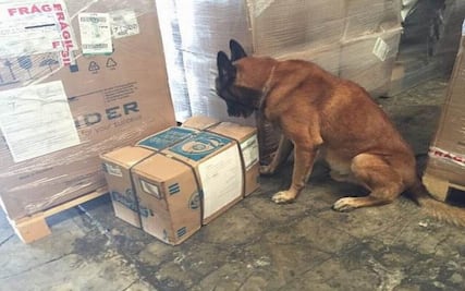 Aseguran más de 3 kilos de marihuana en Yucatán