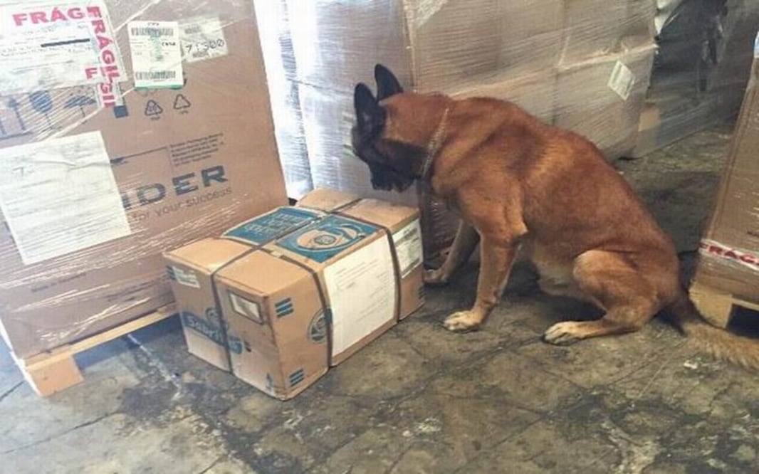 Foto: Lorenzo Hernández / EL UNIVERSAL