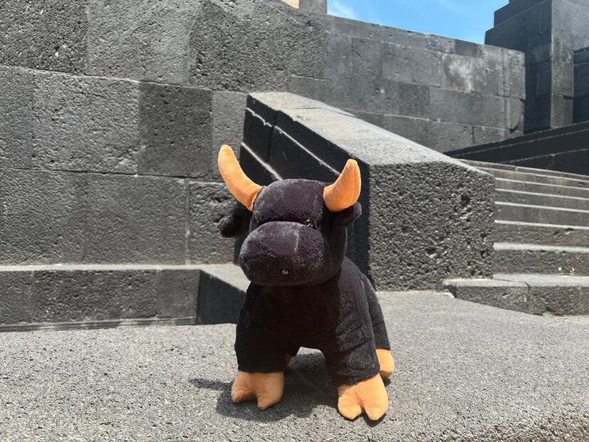 Activistas se manifiestan contra las corridas de toros - Foto: Fernanda Dávalos