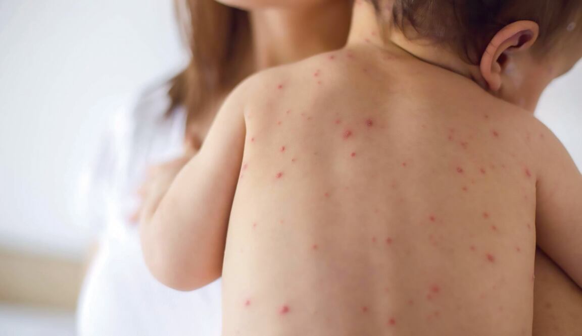 Foto: archivo/ EL UNIVERSAL