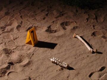 Localizan en fosa clandestina de Puebla a policía municipal reportado como desaparecido en Hidalgo