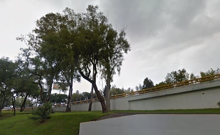 Hallan cuerpo de perro atado a árbol en Churubusco