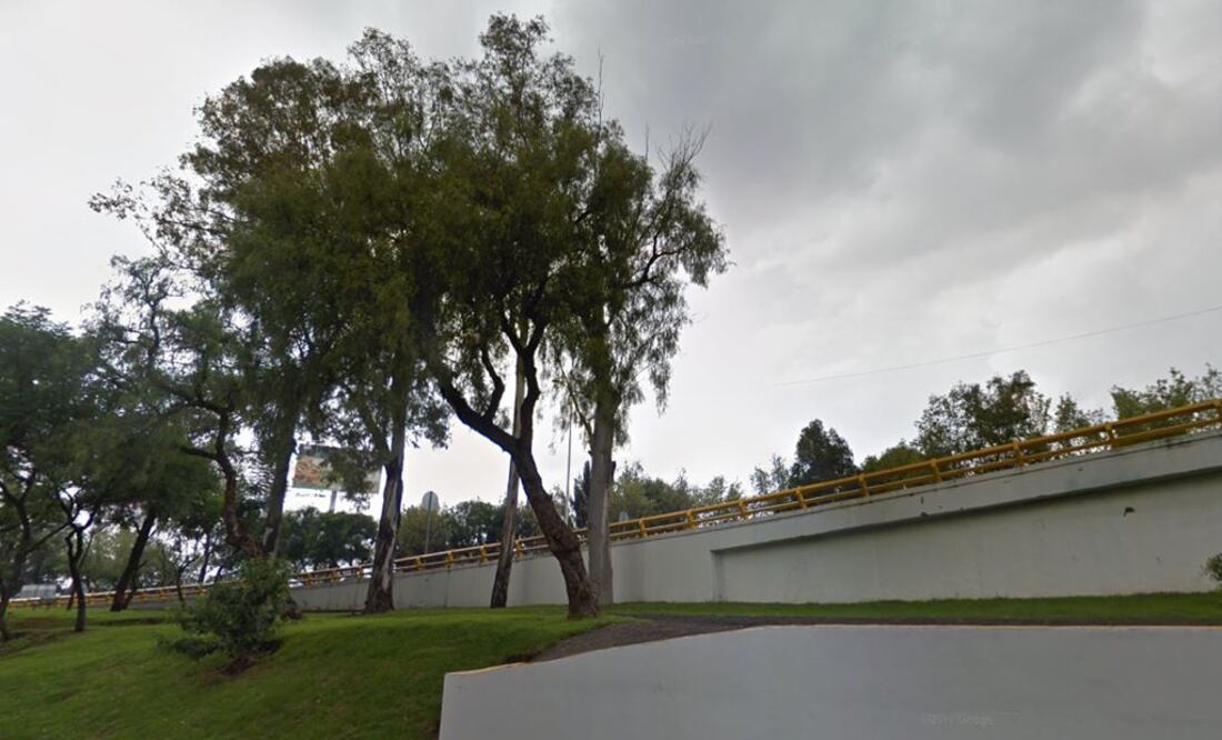 Hallan cuerpo de perro atado a árbol en Churubusco