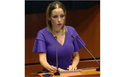 Pide senadora del PRI reabrir frontera México-Estados Unidos al tráfico terrestre