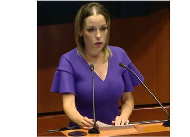 Pide senadora del PRI reabrir frontera México-Estados Unidos al tráfico terrestre