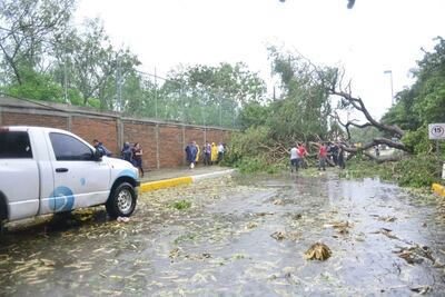 “Narda” deja afectaciones en suministro eléctrico de Sinaloa