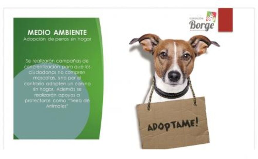 Indagan desvíos de Borge con becas y sillas de ruedas