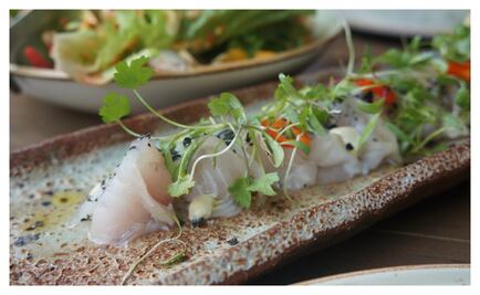 Una Rosa Negra con sabor latino