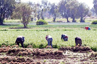 Paisanos sacan ahorros de EU; incertidumbre sube remesas