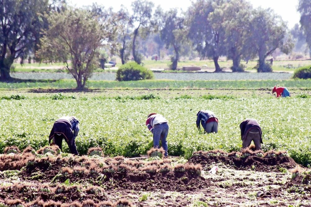 Autoridades de entidades con altas tasas de migración a Estados Unidos (OMAR CONTRERAS. EL UNIVERSAL)