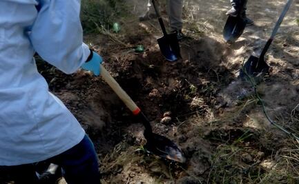 Desde 2006 a la fecha han sido localizadas más de 3 mil fosas clandestinas