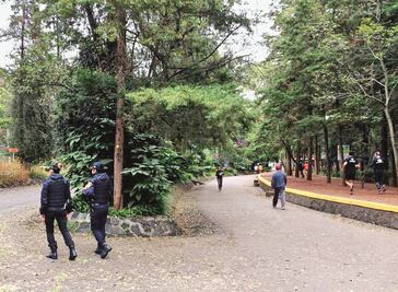 Alerta CNDH sobre daños ambientales en el país