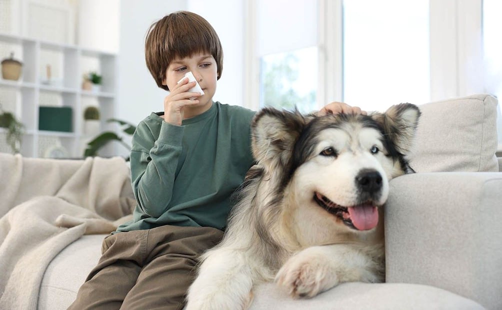 Foto: Cortesía Centro Médico ABC