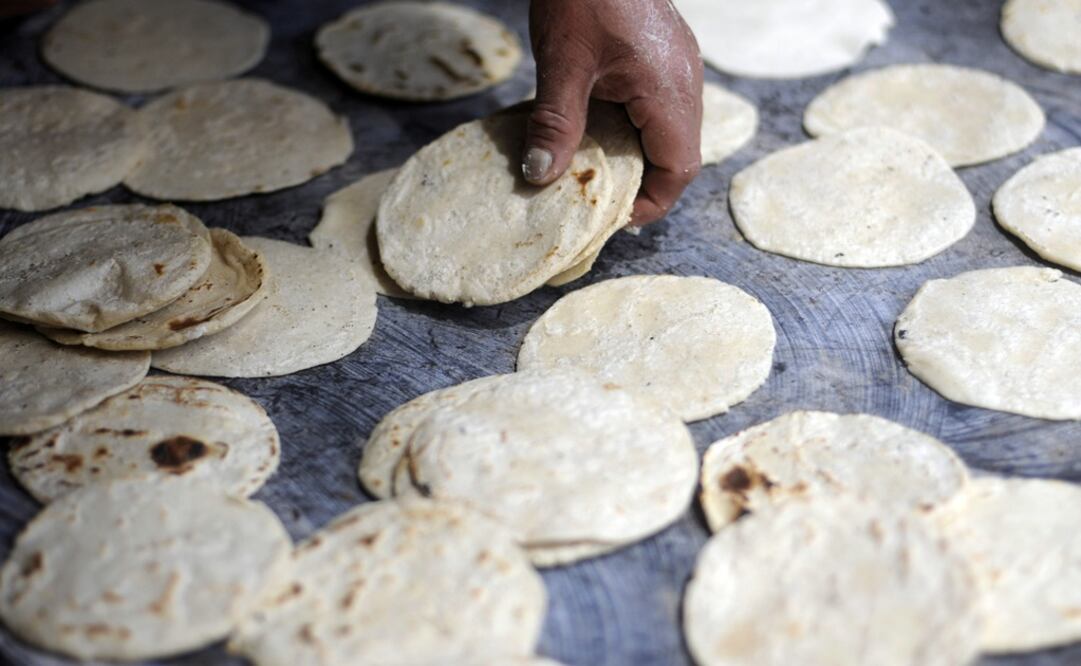El nixtamalizado y todo lo que necesitas para hacer tortillas (Foto: ENRIQUE CONTLA, EFE, Archivo El Universal y Pixabay)