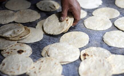 Back to basics: hagamos tortillas en casa