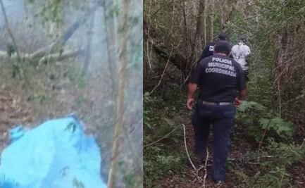 Ataque de abejas cobra la vida de adulto mayor en Yucatán; su esposa presenta lesiones de gravedad