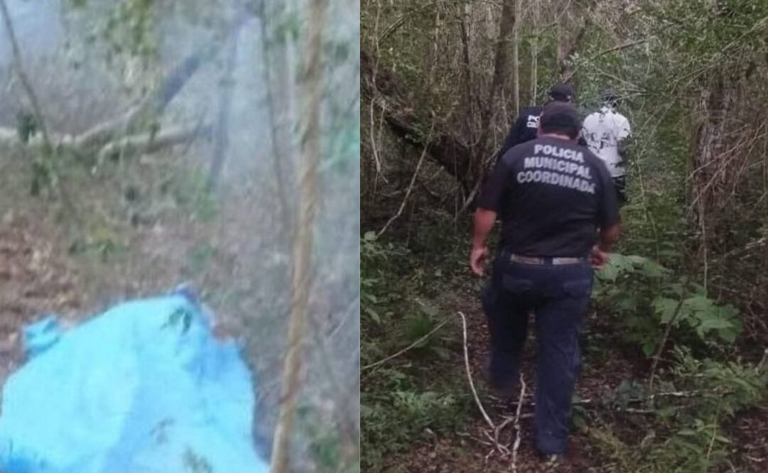 Ataque de abejas cobra la vida de adulto mayor en Yucatán (14/01/2026). Foto: Especial