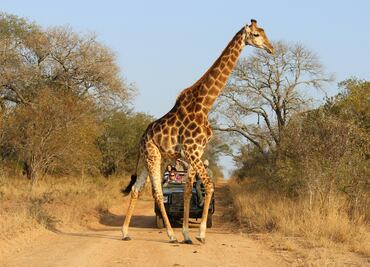 Cuánto cuesta la entrada a Africam Safari este 2025